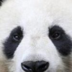 Profile picture of maddygaga